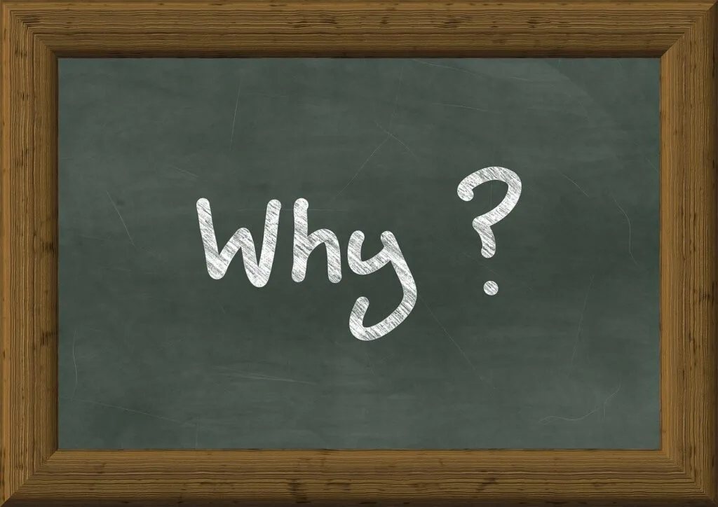 why, question, blackboard, school, think, why, why, why, why, why