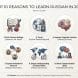 Reasons To Learn Russian